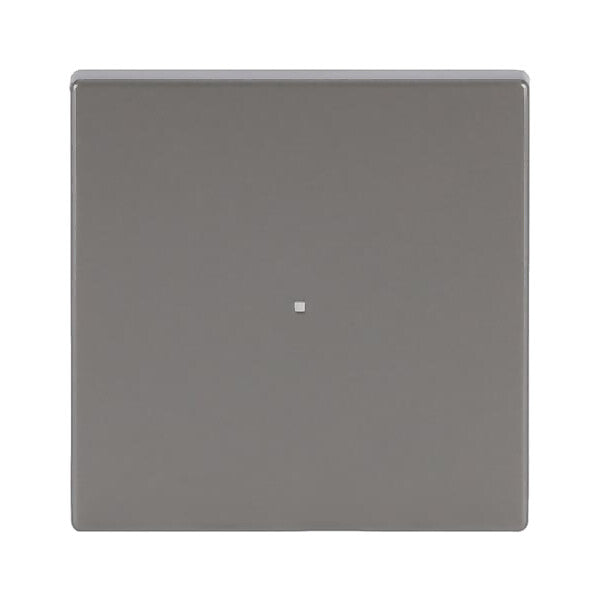 Busch-Jaeger Wippe eds pur Edelstahl 6230-10-866